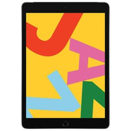 iPad 10.2 インチ 第7世代 - 2019 - Wi-Fi + Cellular - 128 GB